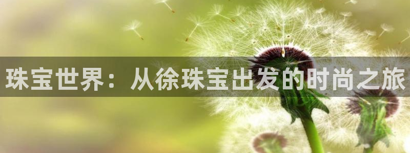 新宝堂新会陈皮5年