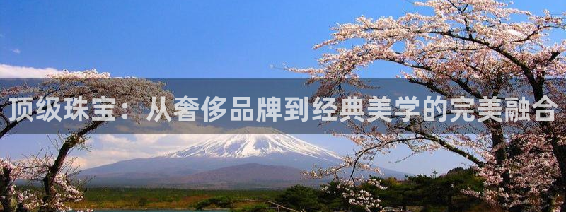 新宝5下载app