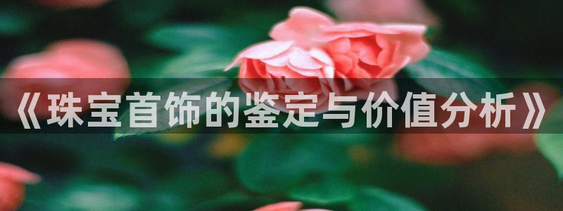 新宝5蒋7O667：《珠宝首饰的鉴定与价值分析》
