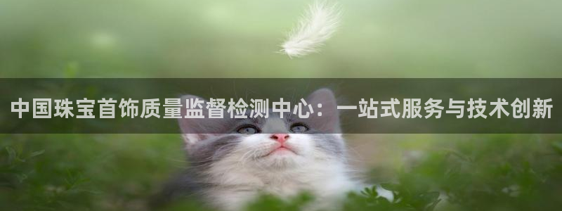 新宝5招商：中国珠宝首饰质量监督检测中心：一站式服务与技术创新