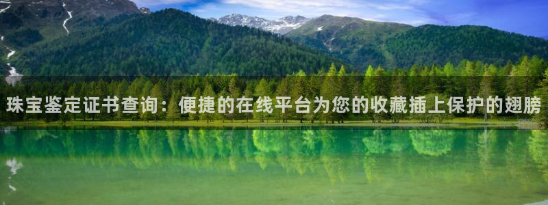 新宝_5：珠宝鉴定证书查询：便捷的在线平台为您的收藏插上保护的翅膀