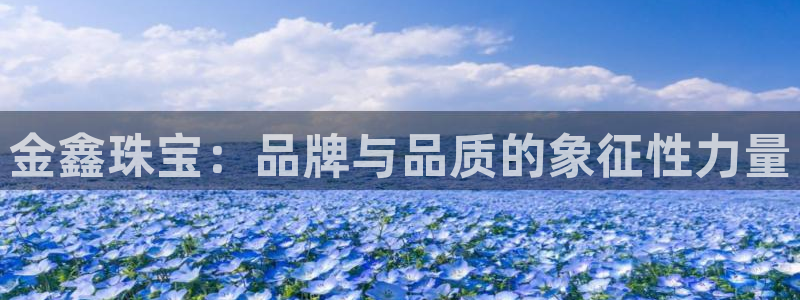 新宝5是谁：金鑫珠宝：品牌与品质的象征性力量