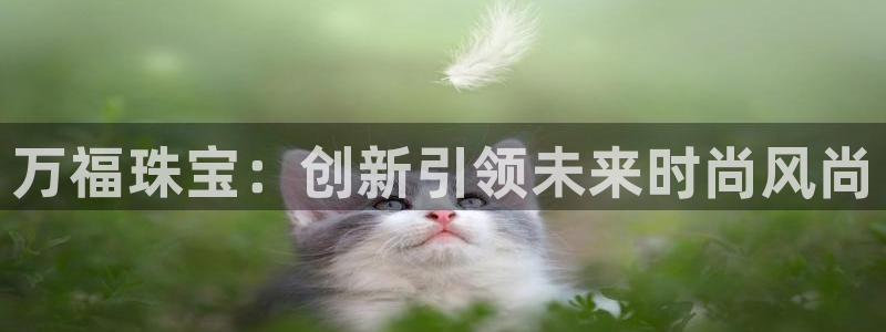 新宝5娱乐主管：万福珠宝：创新引领未来时尚风尚