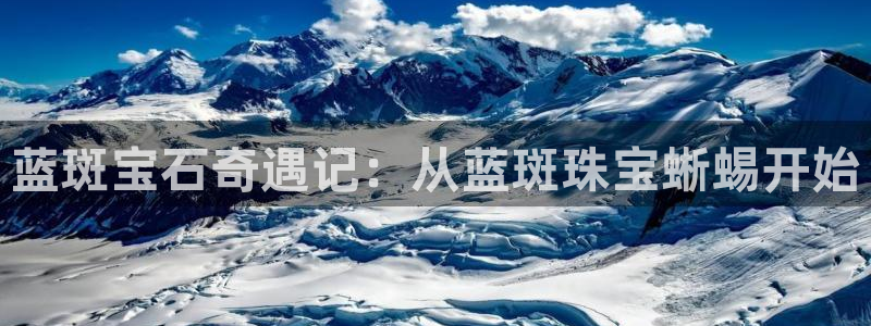 新宝5娱乐网址：蓝斑宝石奇遇记：从蓝斑珠宝蜥蜴开始
