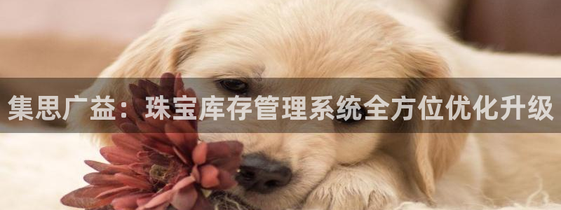 新宝5开好：集思广益：珠宝库存管理系统全方位优化升级