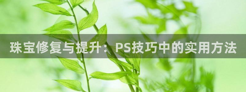 新宝5d：珠宝修复与提升：PS技巧中的实用方法