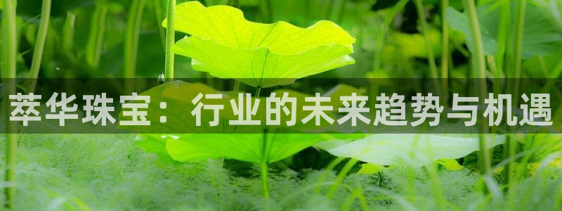 新宝5注册：萃华珠宝：行业的未来趋势与机遇