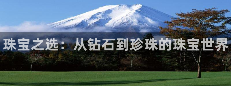 新宝5网：珠宝之选：从钻石到珍珠的珠宝世界