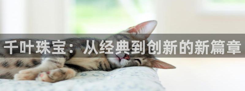 新宝5下载：千叶珠宝：从经典到创新的新篇章