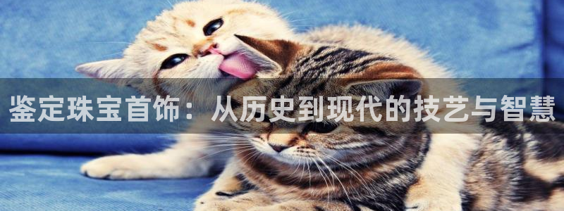 新宝5彩票是正规平台吗：鉴定珠宝首饰：从历史到现代的技艺与智慧