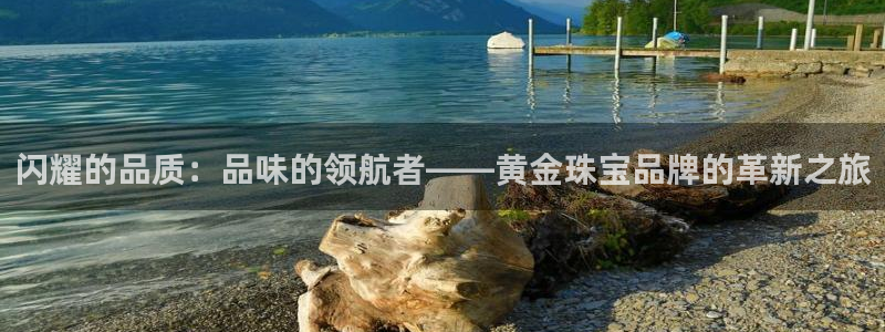 新宝5开户：闪耀的品质：品味的领航者——黄金珠宝品牌的革新之旅