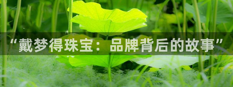 新宝5手机登录：“戴梦得珠宝：品牌背后的故事”