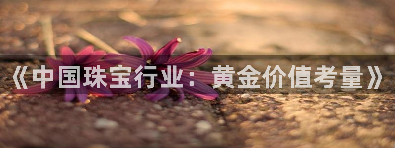 有人知道新宝5么：《中国珠宝行业：黄金价值考量》