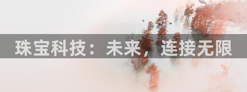 新宝5链接：珠宝科技：未来，连接无限
