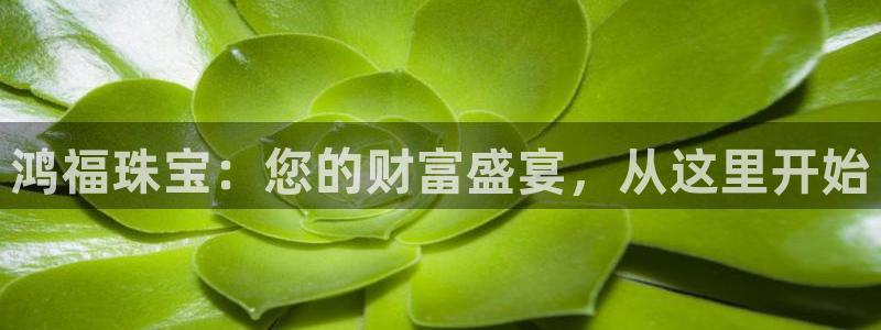 新宝5app手机下载：鸿福珠宝：您的财富盛宴，从这里开始