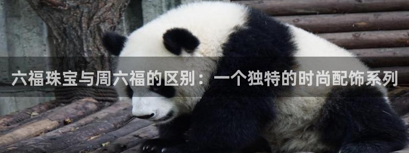 新宝5电脑：六福珠宝与周六福的区别：一个独特的时尚配饰系列