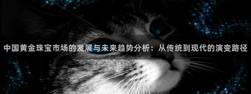 新宝5娱乐没：中国黄金珠宝市场的发展与未来趋势分析：从传统到现代的演变路径