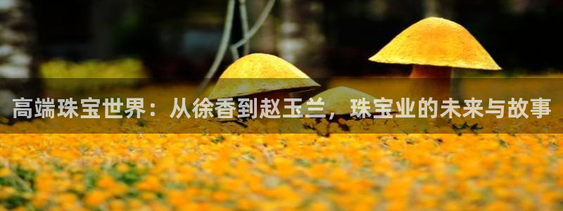 新宝5注册霸：高端珠宝世界：从徐香到赵玉兰，珠宝业的未来与故事