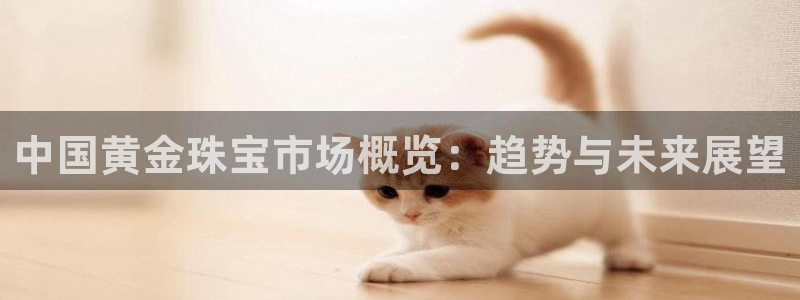 新宝5飞355051：中国黄金珠宝市场概览：趋势与未来展望
