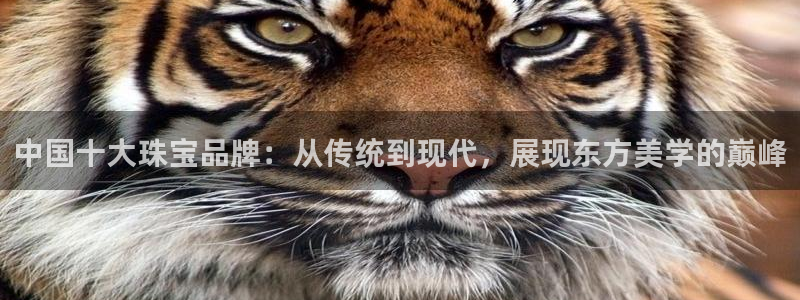 有人知道新宝5么：中国十大珠宝品牌：从传统到现代，展现东方美学的巅峰