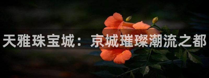 新宝5下载app：天雅珠宝城：京城璀璨潮流之都