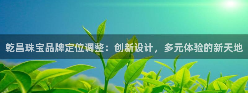 新宝b2O5O5O：乾昌珠宝品牌定位调整：创新设计，多元体验的新天地