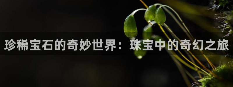 新宝5如何下载：珍稀宝石的奇妙世界：珠宝中的奇幻之旅
