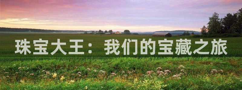 新宝5招商部：珠宝大王：我们的宝藏之旅