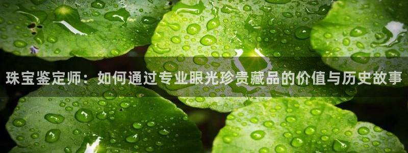 新宝j2O5O5O：珠宝鉴定师：如何通过专业眼光珍贵藏品的价值与历史故事