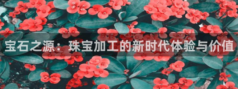 新宝5app：宝石之源：珠宝加工的新时代体验与价值