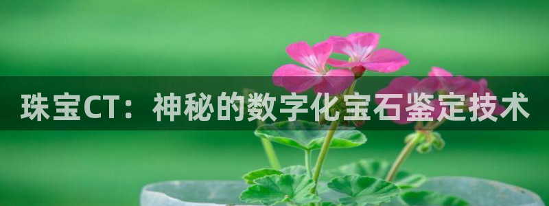 新宝5下载注册：珠宝CT：神秘的数字化宝石鉴定技术