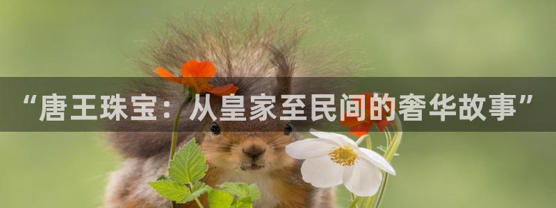 新宝5娱乐多：“唐王珠宝：从皇家至民间的奢华故事”