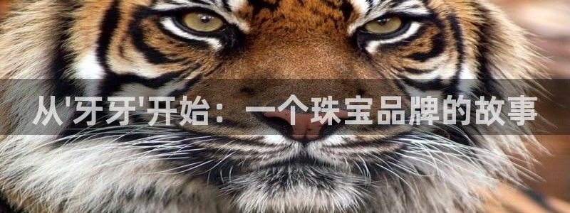新宝5策略：从\'牙牙\'开始：一个珠宝品牌的故事