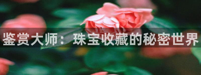 新宝rc_5w：鉴赏大师：珠宝收藏的秘密世界