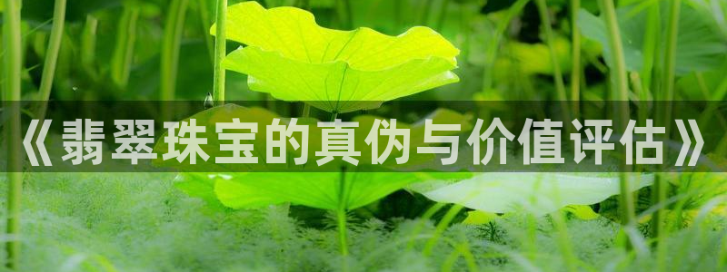 新宝5测速：《翡翠珠宝的真伪与价值评估》