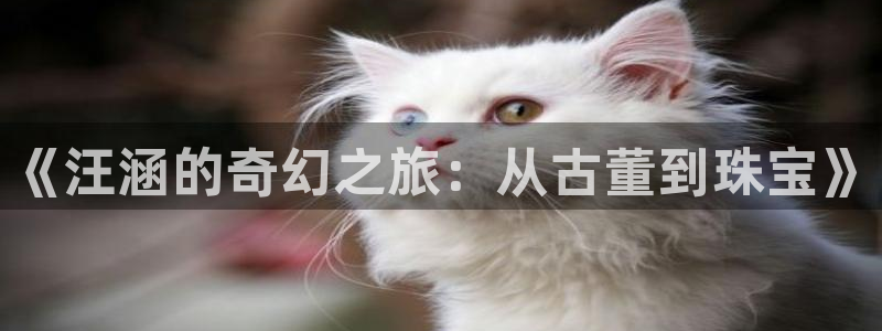 新宝5登录注册：《汪涵的奇幻之旅：从古董到珠宝》