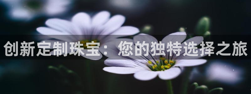 新宝5是什么样子的：创新定制珠宝：您的独特选择之旅