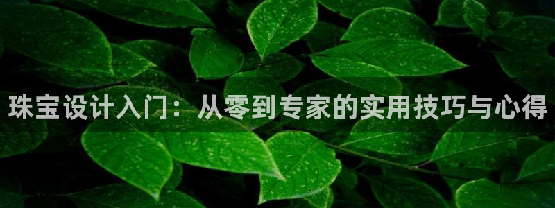新宝5内部：珠宝设计入门：从零到专家的实用技巧与心得