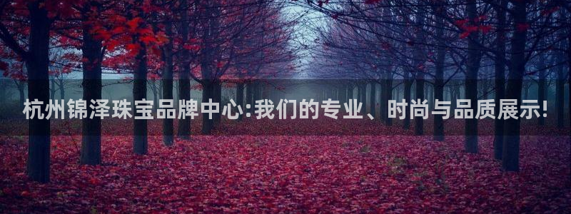 新宝5后：杭州锦泽珠宝品牌中心:我们的专业、时尚与品质展示!