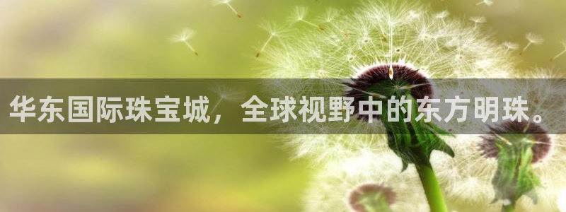 新宝5登陆：华东国际珠宝城，全球视野中的东方明珠。