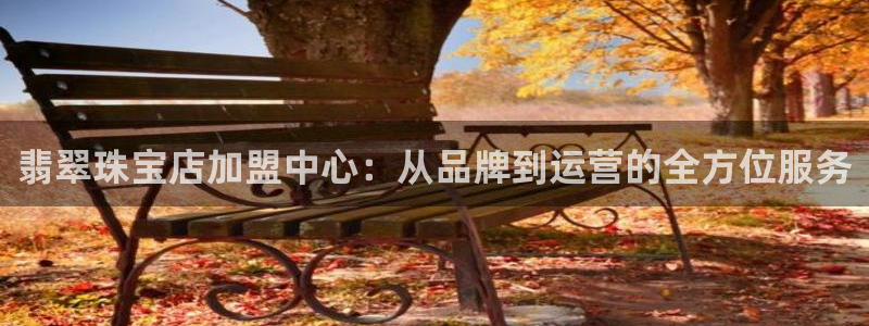 新宝5测速平台登录：翡翠珠宝店加盟中心：从品牌到运营的全方位服务