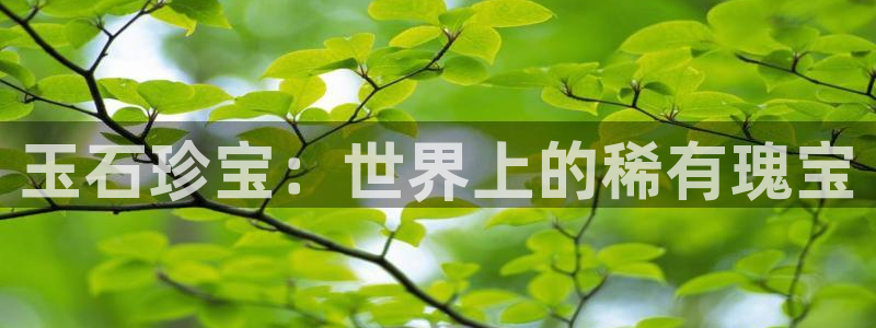 新宝5找找74OOO5：玉石珍宝：世界上的稀有瑰宝