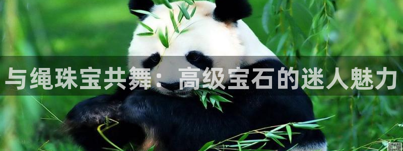 新宝5手机测速：与绳珠宝共舞：高级宝石的迷人魅力