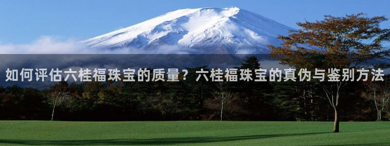 新宝5测：如何评估六桂福珠宝的质量？六桂福珠宝的真伪与鉴别方法