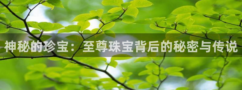 新宝5平台注册：神秘的珍宝：至尊珠宝背后的秘密与传说