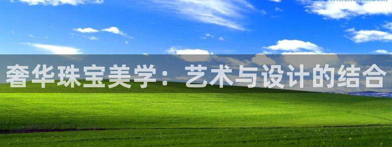 新宝h2O5O5O：奢华珠宝美学：艺术与设计的结合