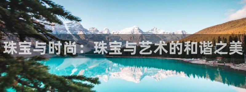 新宝5寻33 300球：珠宝与时尚：珠宝与艺术的和谐之美