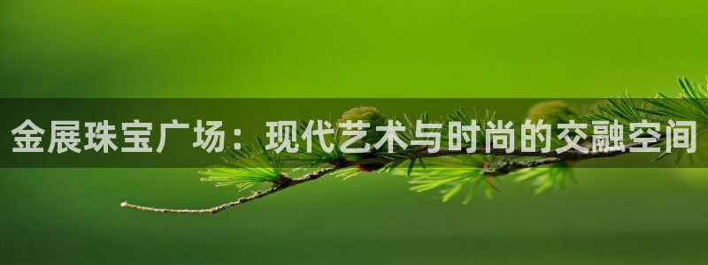 新宝那2O5O5O：金展珠宝广场：现代艺术与时尚的交融空间
