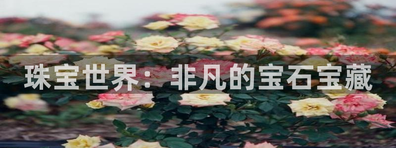 新宝5日谢29999：珠宝世界：非凡的宝石宝藏