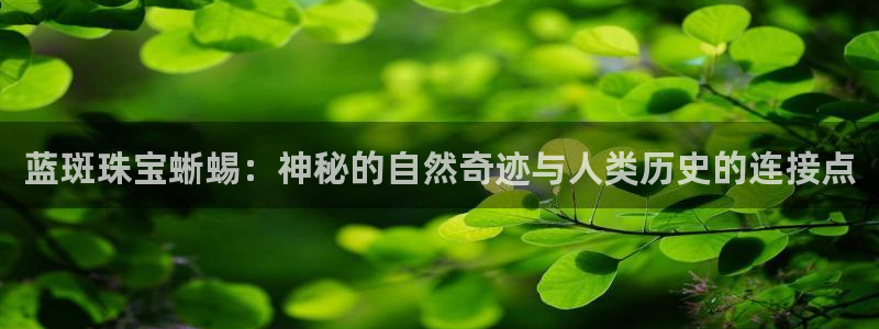新宝5注册测速登录：蓝斑珠宝蜥蜴：神秘的自然奇迹与人类历史的连接点